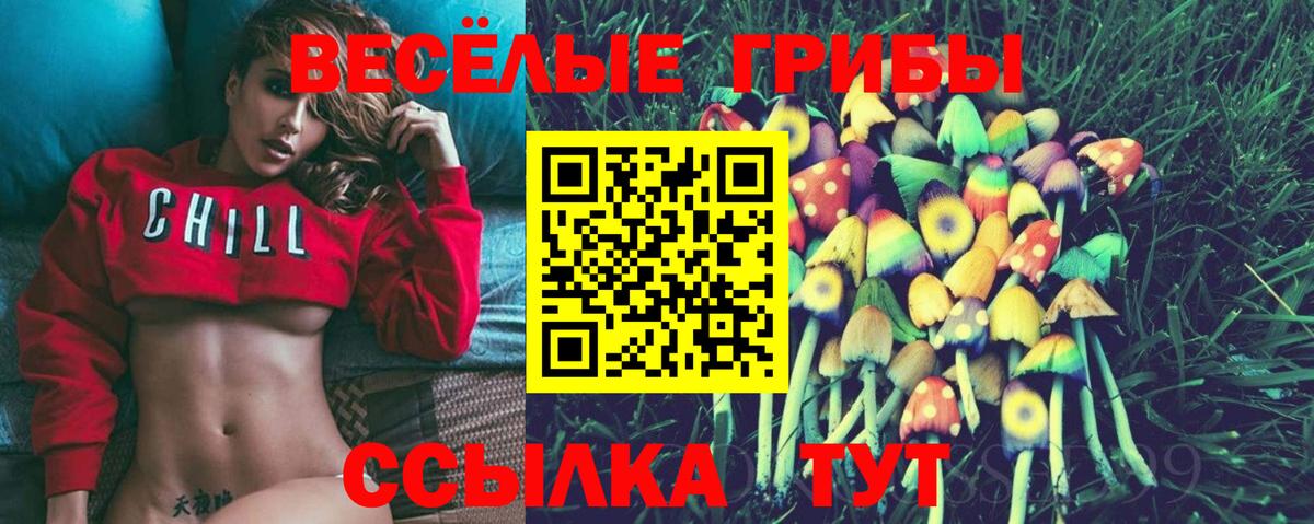 Галлюциногенные грибы Psilocybe Энгельс